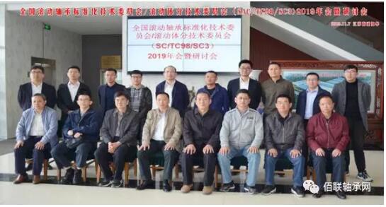 全國滾動軸承標準化技術委員會滾動體分技術委員會2019年會暨研討會召開 全國滾動軸承標準化技術委員會滾動體分技術委員會2019年會暨研討會召開