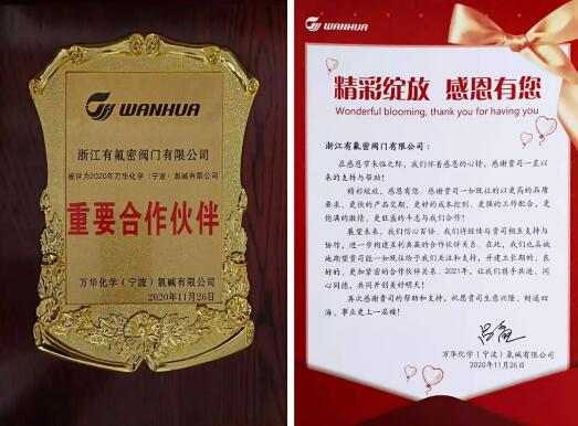 有氟密閥門榮獲萬華化學(寧波)氯堿有限公司“重要合作伙伴”稱號 有氟密閥門榮獲萬華化學(寧波)氯堿有限公司“重要合作伙伴”稱號