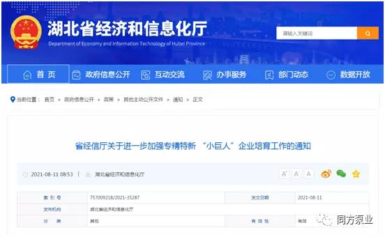 同方泵業獲評國家級“小巨人” 同方泵業獲評國家級“小巨人”