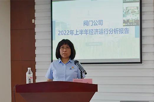 總會計師呂艷梅作上半年經濟運行分析報告 總會計師呂艷梅作上半年經濟運行分析報告
